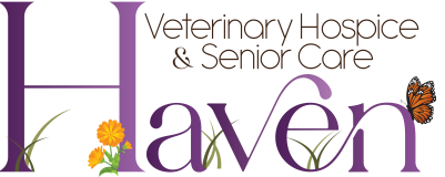 Haven Veterinary Hospice & Senior Care