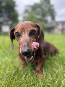 Badger Alan Zachary James-Worthing